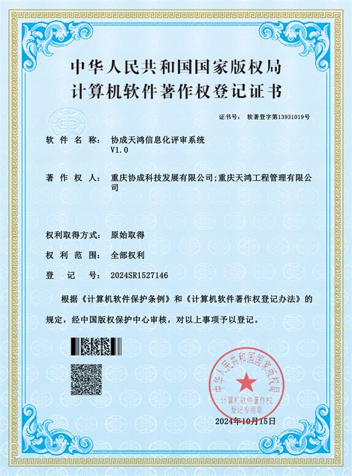 信息化评审系统软件著作权